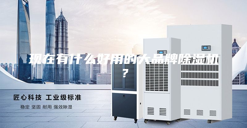 現在有什么好用的大品牌除濕機？