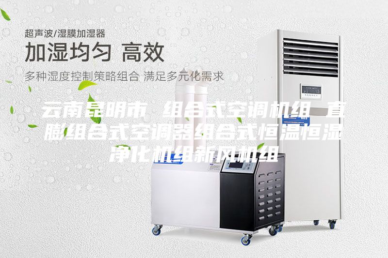 云南昆明市 組合式空調(diào)機組 直膨組合式空調(diào)器組合式恒溫恒濕凈化機組新風(fēng)機組