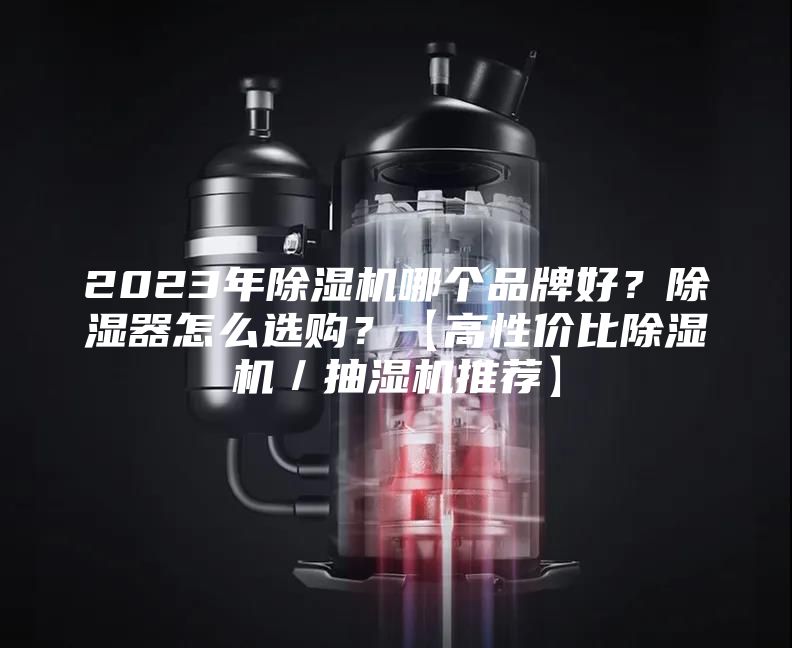 2023年除濕機哪個品牌好？除濕器怎么選購？【高性價比除濕機／抽濕機推薦】