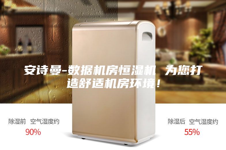 安詩曼-數(shù)據(jù)機房恒濕機 為您打造舒適機房環(huán)境！