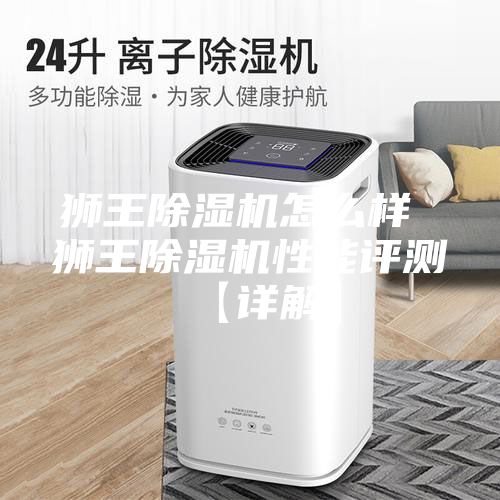 獅王除濕機(jī)怎么樣 獅王除濕機(jī)性能評(píng)測(cè)【詳解】