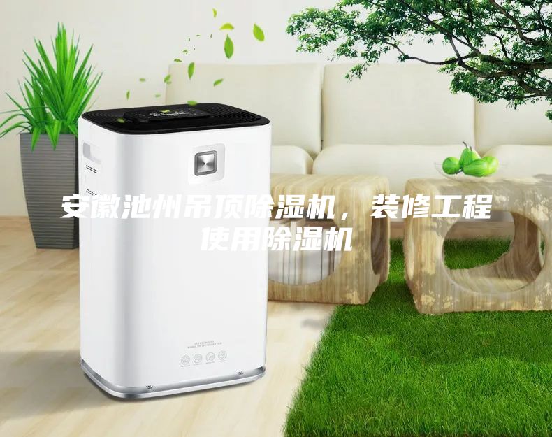 安徽池州吊頂除濕機,裝修工程使用除濕機