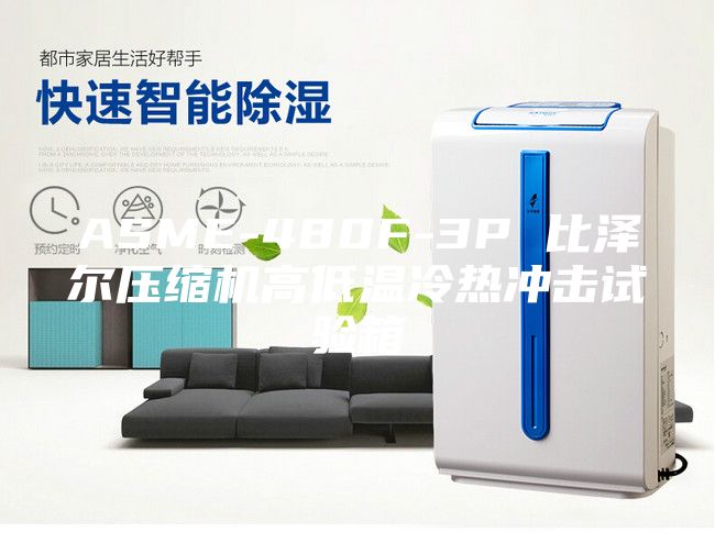 ASME-480F-3P 比澤爾壓縮機(jī)高低溫冷熱沖擊試驗(yàn)箱