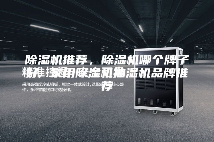 除濕機推薦，除濕機哪個牌子好, 家用除濕機抽濕機品牌推薦