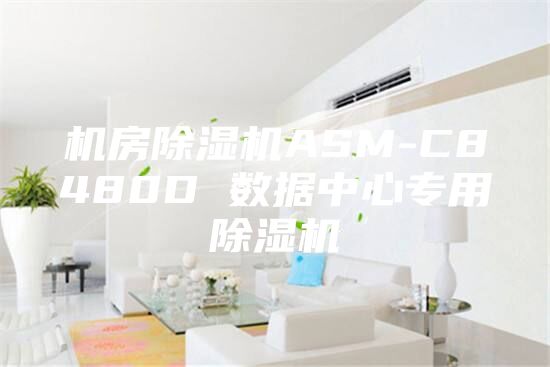 機(jī)房除濕機(jī)ASM-C8480D 數(shù)據(jù)中心專用除濕機(jī)