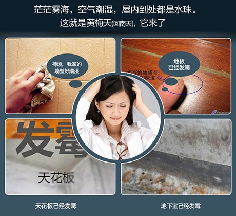 潮濕危害竟然這么大！