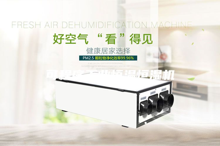 可程序工業(yè)恒溫恒濕機(jī)