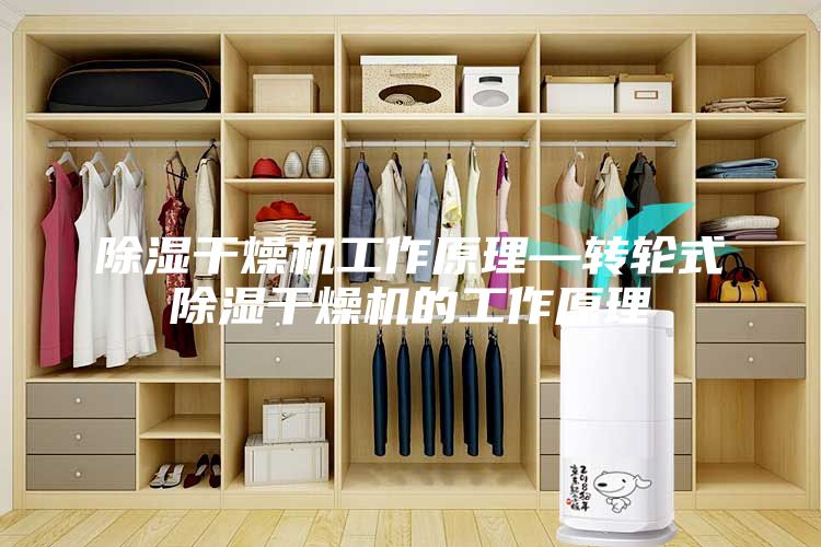 除濕干燥機工作原理—轉輪式除濕干燥機的工作原理