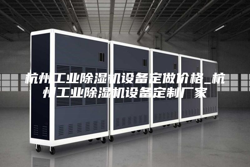 杭州工業(yè)除濕機設(shè)備定做價格_杭州工業(yè)除濕機設(shè)備定制廠家