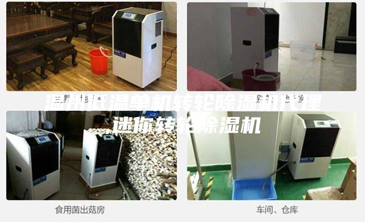 溫州低溫單機轉輪除濕機代理,迷你轉輪除濕機