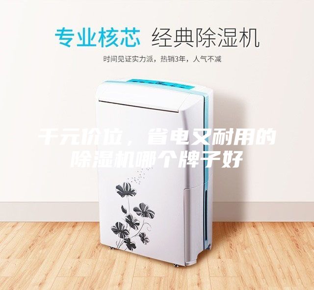 千元價位，省電又耐用的除濕機哪個牌子好