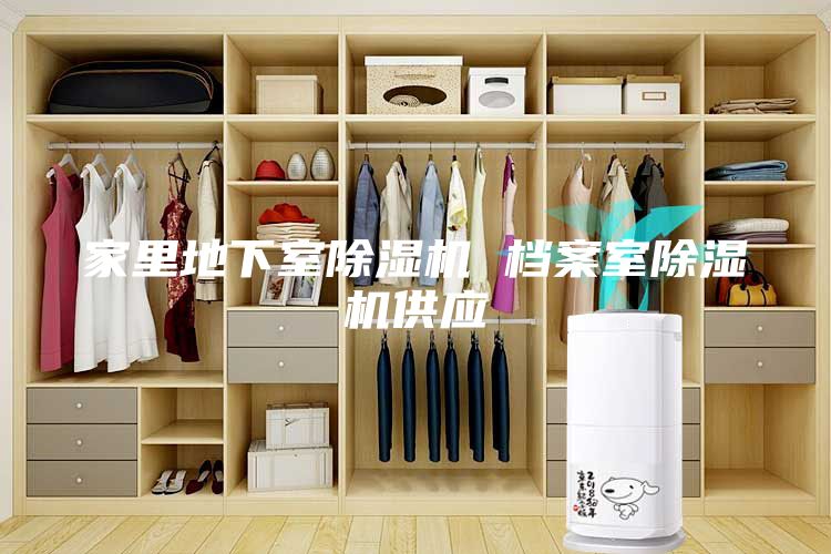 家里地下室除濕機 檔案室除濕機供應(yīng)