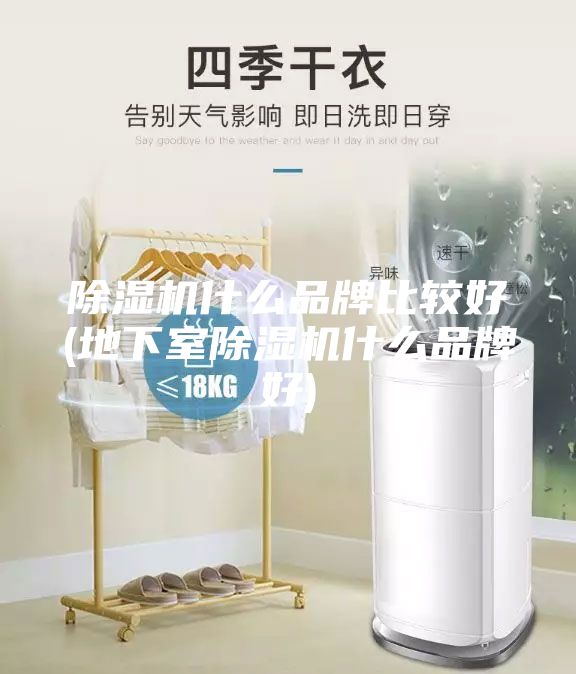 除濕機什么品牌比較好(地下室除濕機什么品牌好)