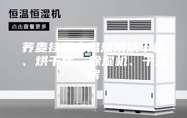 蕎麥掛面高溫熱泵烘干機、烘干房、除濕機、干燥房
