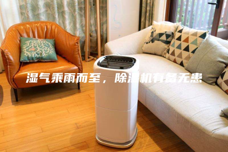 濕氣乘雨而至，除濕機有備無患