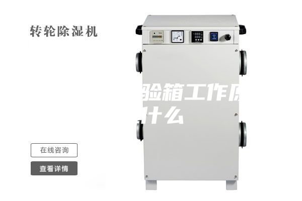 恒溫恒濕試驗箱工作原理是什么