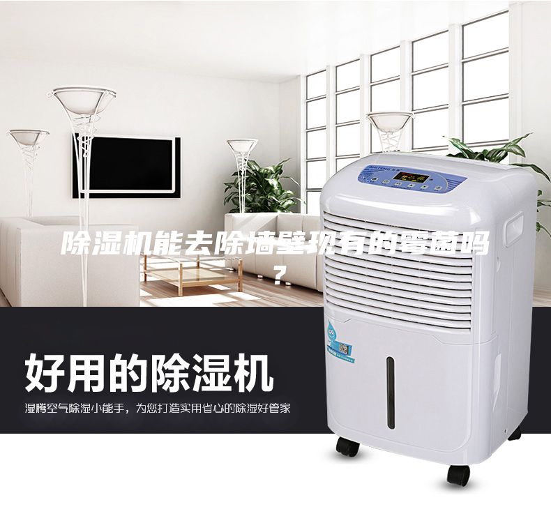 除濕機能去除墻壁現有的霉菌嗎？