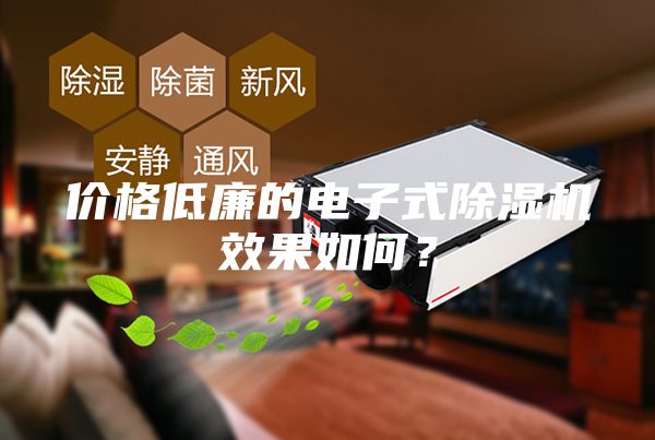 價格低廉的電子式除濕機效果如何？