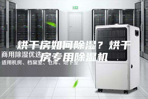 烘干房如何除濕？烘干房專用除濕機
