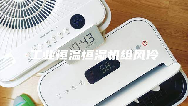 工業恒溫恒濕機組風冷