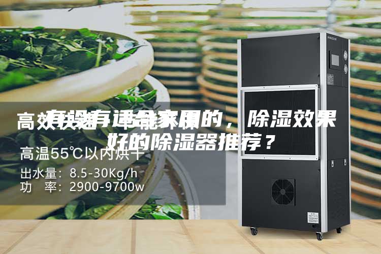 有沒有適合家用的，除濕效果好的除濕器推薦？