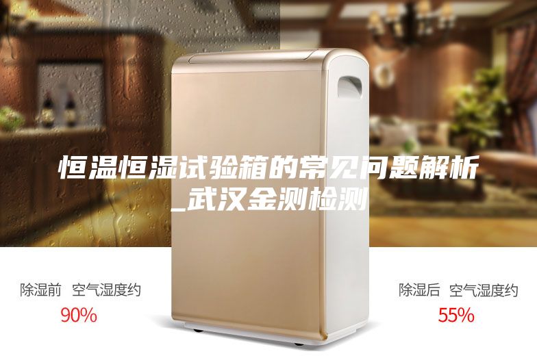 恒溫恒濕試驗箱的常見問題解析_武漢金測檢測