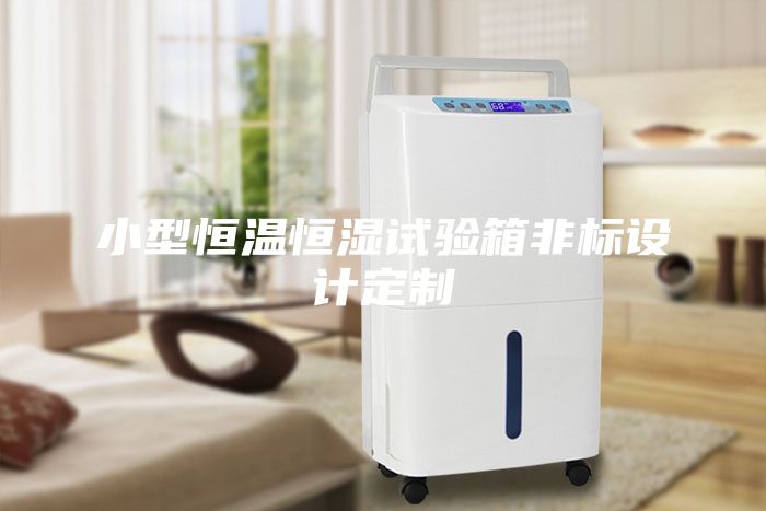 小型恒溫恒濕試驗箱非標設計定制