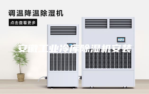安徽工業(yè)冷庫除濕機(jī)安裝