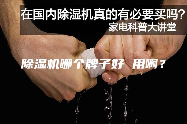 除濕機哪個牌子好 用?。?/></p>
                            <p style=
