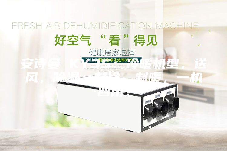 安詩曼 KY35：冷暖機型，送風，除濕，制冷，制暖，一機四用！