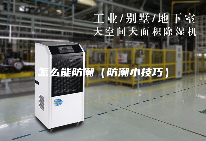 怎么能防潮（防潮小技巧）