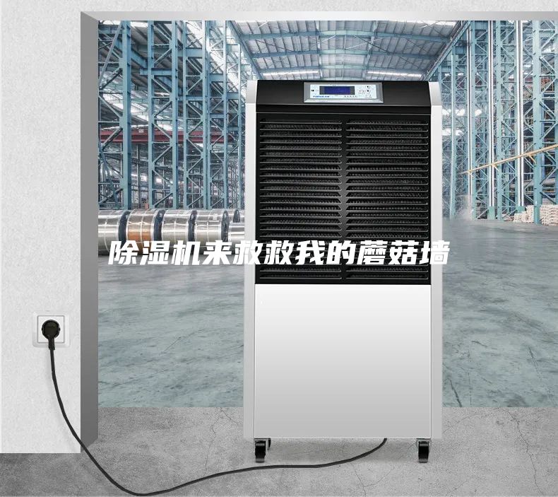 除濕機(jī)來(lái)救救我的蘑菇墻