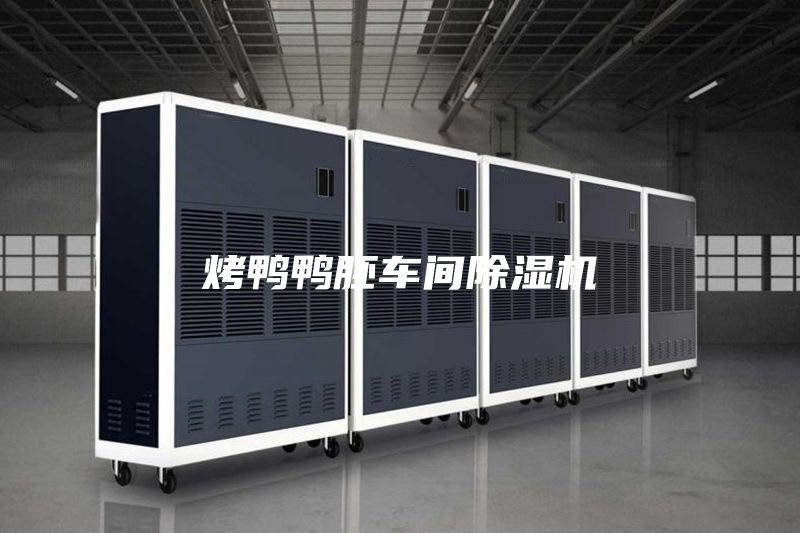 烤鴨鴨胚車間除濕機