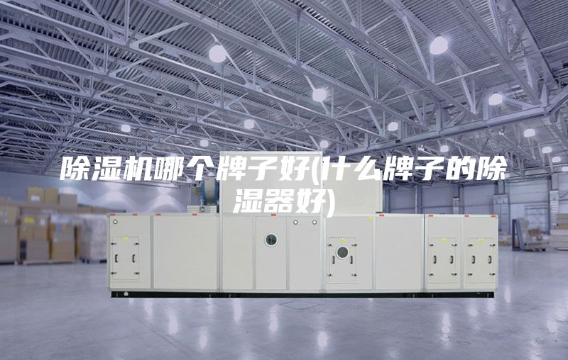 除濕機(jī)哪個(gè)牌子好(什么牌子的除濕器好)