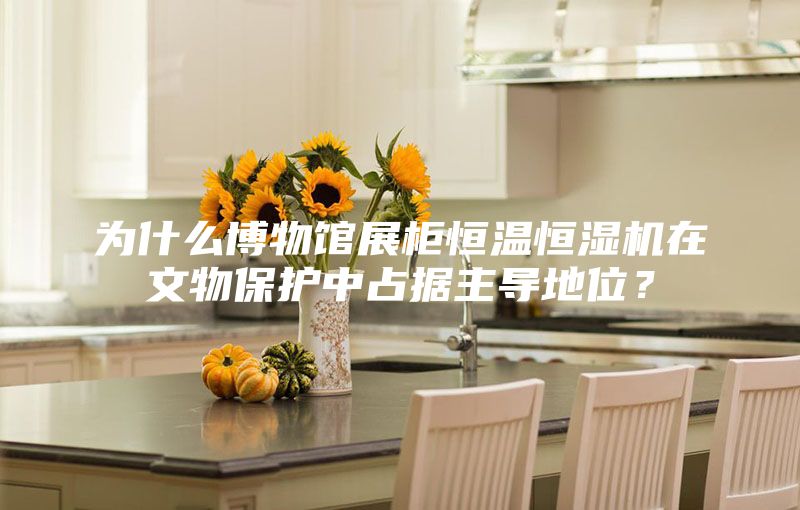 為什么博物館展柜恒溫恒濕機在文物保護中占據(jù)主導地位？
