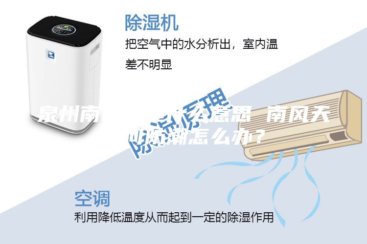 泉州南風天是什么意思 南風天如何防潮怎么辦？