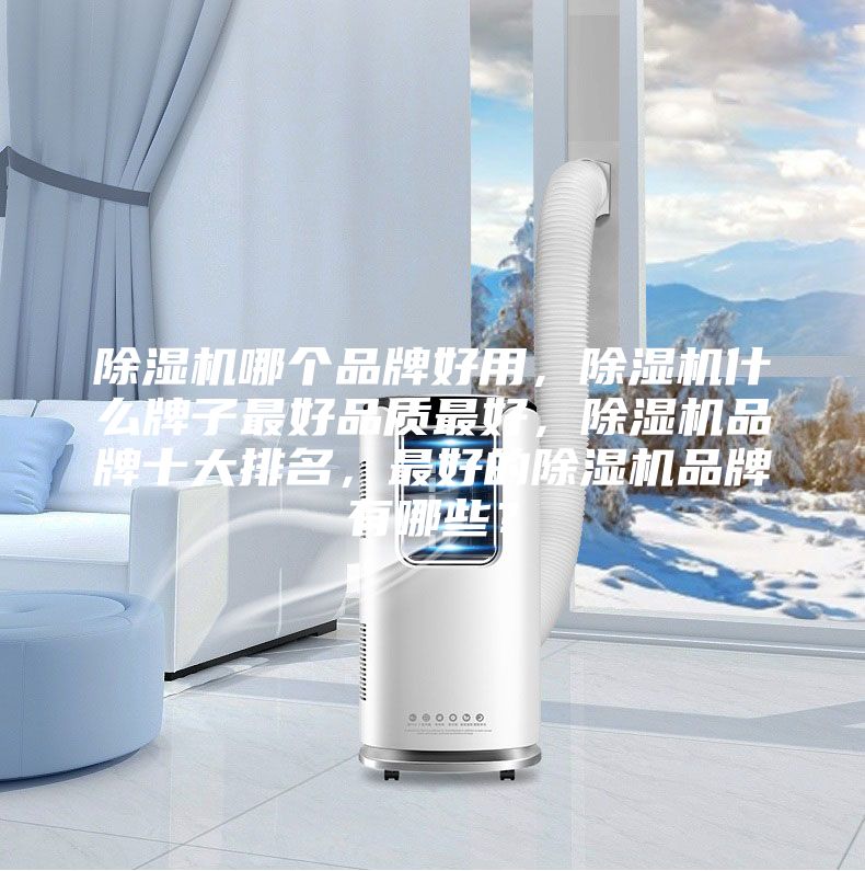除濕機(jī)哪個品牌好用，除濕機(jī)什么牌子最好品質(zhì)最好，除濕機(jī)品牌十大排名，最好的除濕機(jī)品牌有哪些？