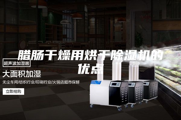 臘腸干燥用烘干除濕機的優(yōu)點