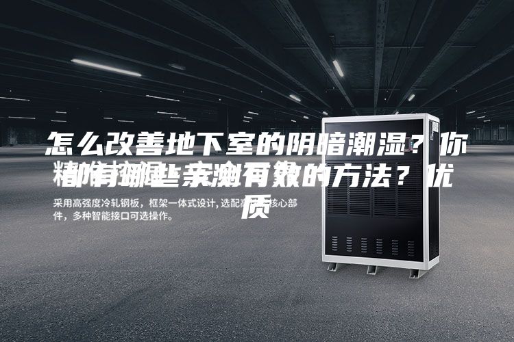 怎么改善地下室的陰暗潮濕？你都有哪些親測有效的方法？優(yōu)質