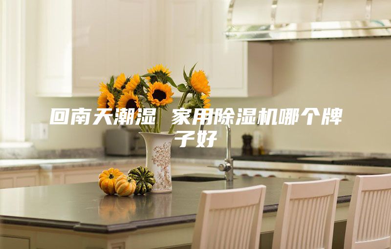 回南天潮濕 家用除濕機(jī)哪個牌子好