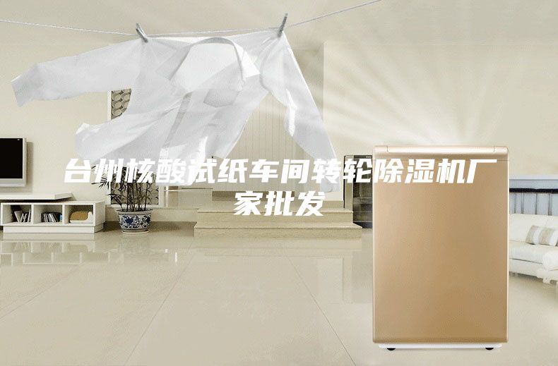 臺州核酸試紙車間轉(zhuǎn)輪除濕機廠家批發(fā)
