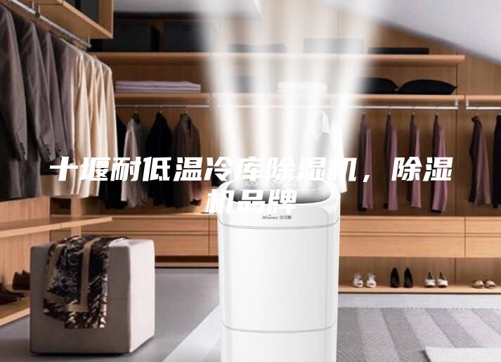十堰耐低溫冷庫(kù)除濕機(jī)，除濕機(jī)品牌