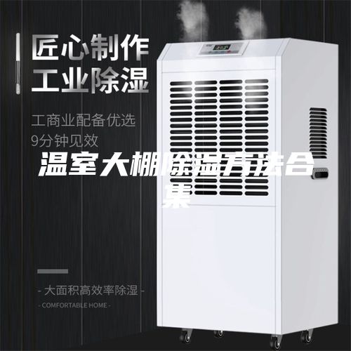 溫室大棚除濕方法合集