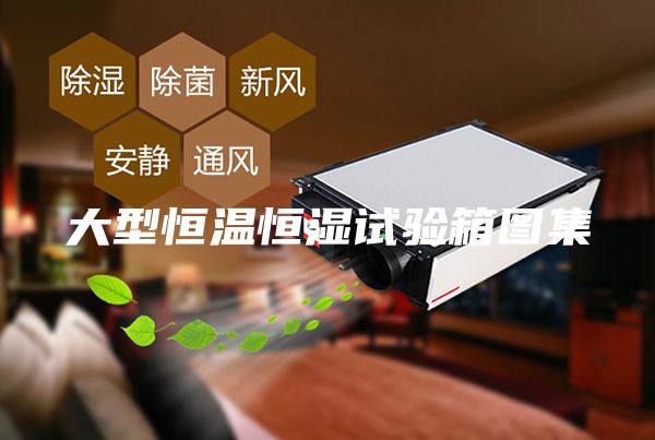 大型恒溫恒濕試驗箱圖集
