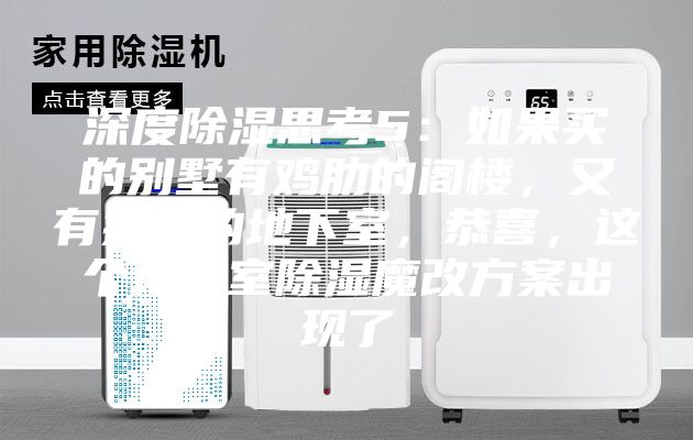 深度除濕思考5：如果買的別墅有雞肋的閣樓，又有操心的地下室，恭喜，這個地下室除濕魔改方案出現了