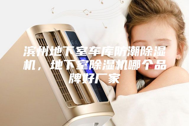 濱州地下室車庫防潮除濕機，地下室除濕機哪個品牌好廠家