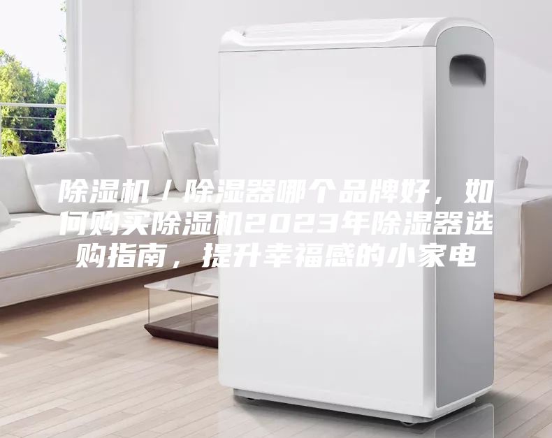 除濕機(jī)／除濕器哪個品牌好，如何購買除濕機(jī)2023年除濕器選購指南，提升幸福感的小家電