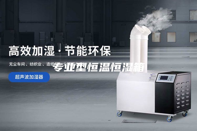 專業(yè)型恒溫恒濕箱