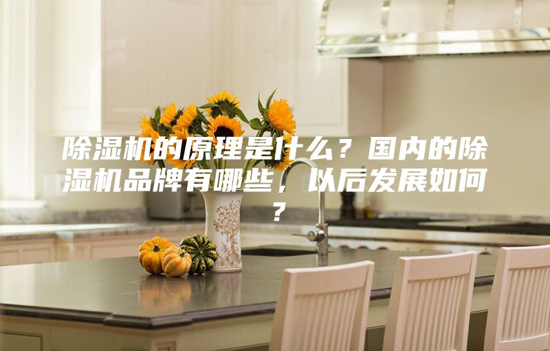 除濕機的原理是什么？國內(nèi)的除濕機品牌有哪些，以后發(fā)展如何？