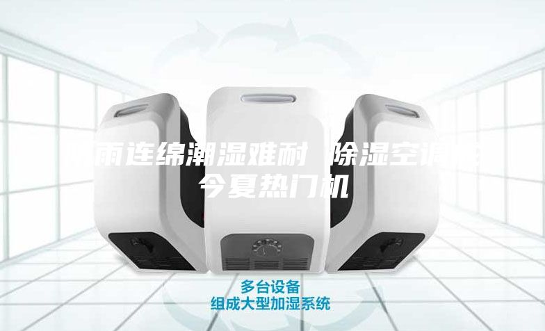 陰雨連綿潮濕難耐 除濕空調(diào)成今夏熱門(mén)機(jī)